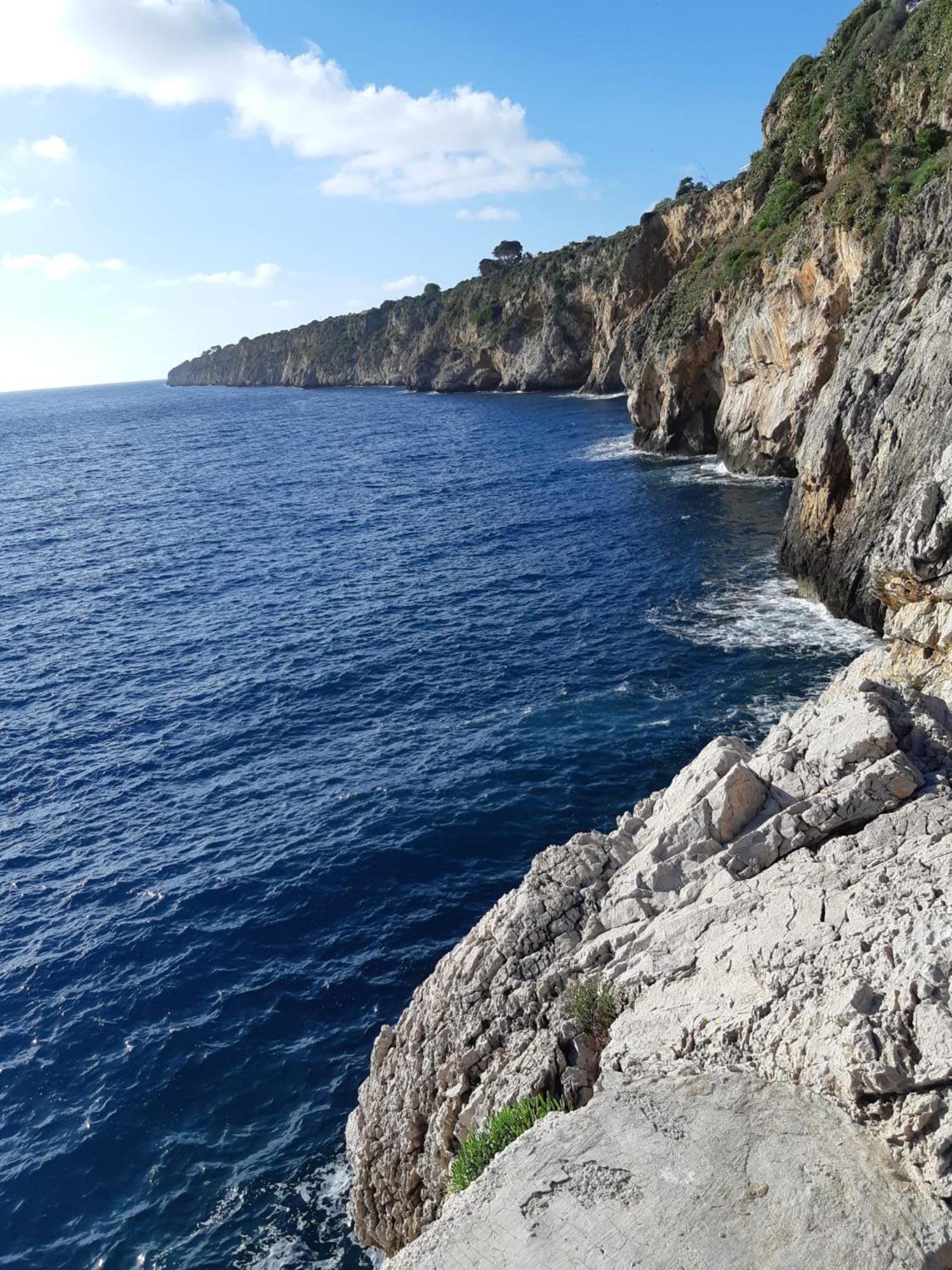 Villa Al Mare 'Happy Summer' Terrasini Bagian luar foto