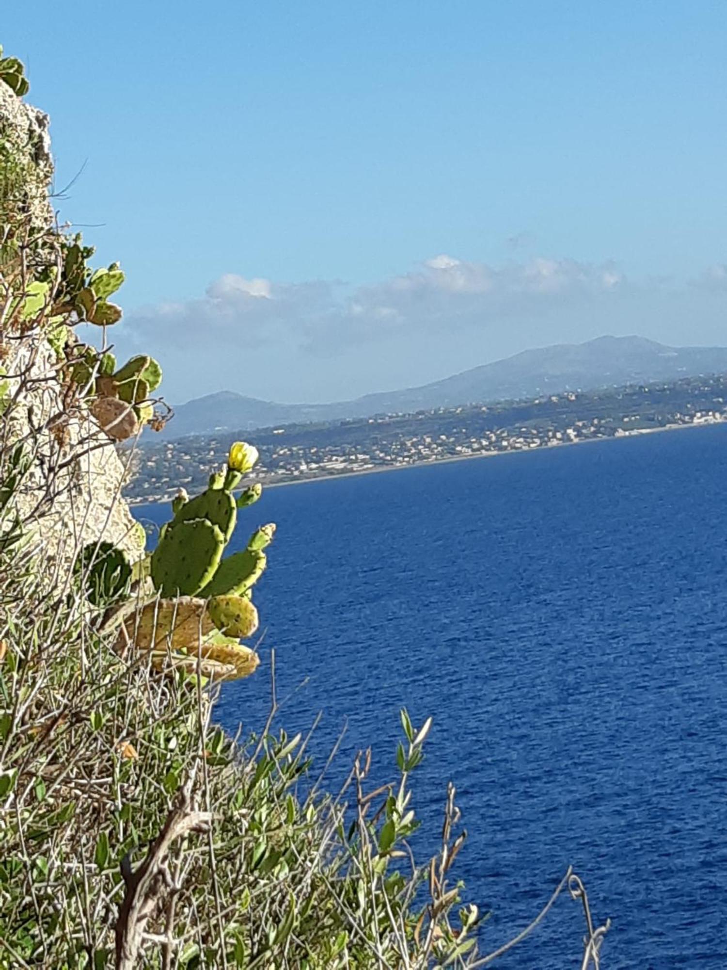 Villa Al Mare 'Happy Summer' Terrasini Bagian luar foto